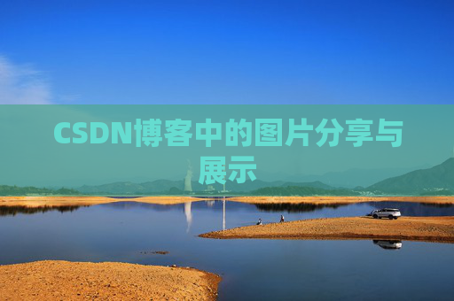 CSDN博客中的图片分享与展示